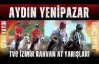AYDIN YENİPAZAR RAHVAN AT YARIŞI